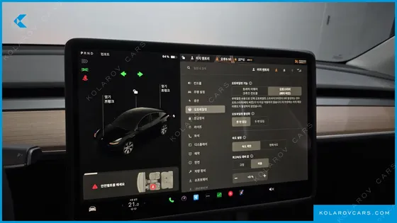 TESLA MODEL Y STANDARD RANGE RWD