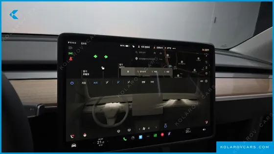 TESLA MODEL Y STANDARD RANGE RWD