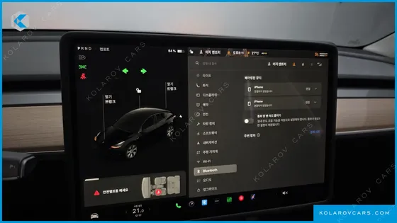 TESLA MODEL Y STANDARD RANGE RWD