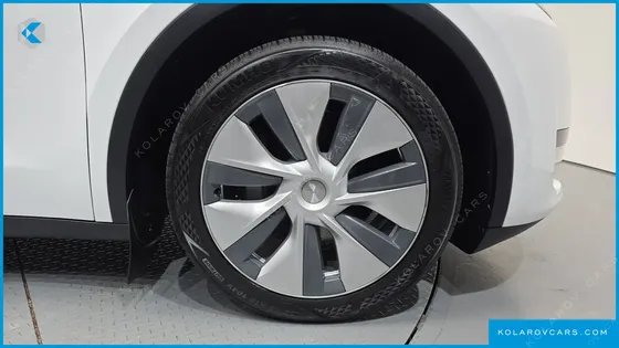 TESLA MODEL Y RWD