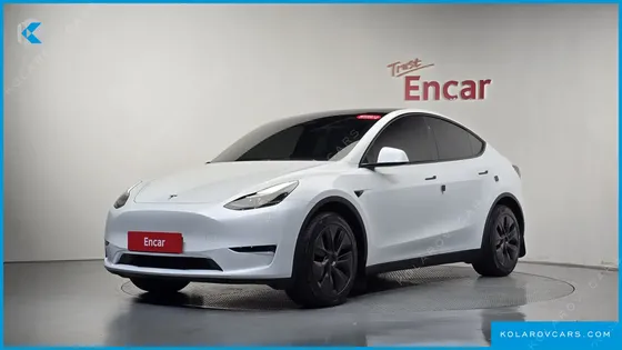 TESLA MODEL Y LONG RANGE AWD