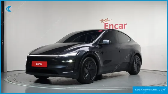 TESLA MODEL Y PREMIUM LONG RANGE AWD