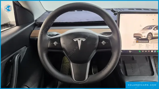 TESLA MODEL Y LONG RANGE AWD