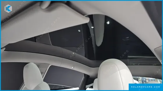 TESLA MODEL Y RWD
