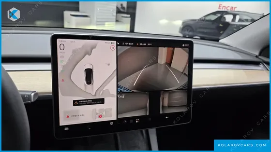TESLA MODEL Y RWD