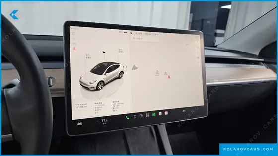 TESLA MODEL Y LONG RANGE AWD