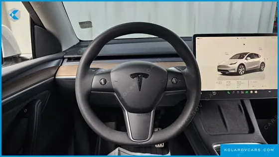 TESLA MODEL Y LONG RANGE AWD