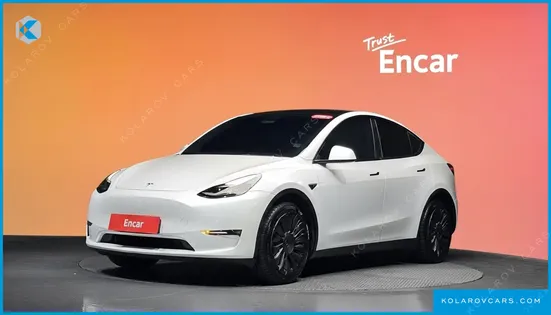 TESLA MODEL Y LONG RANGE AWD