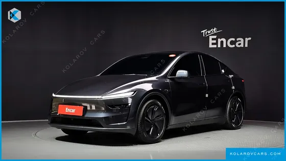 TESLA MODEL Y PREMIUM LONG RANGE AWD