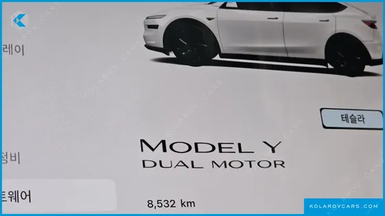 TESLA MODEL Y PREMIUM LONG RANGE AWD