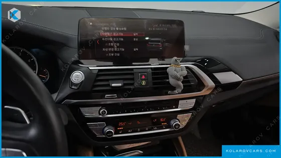 BMW X4 XDRIVE20D XLINE