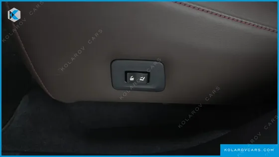 LEXUS RX EXECUTIVE
