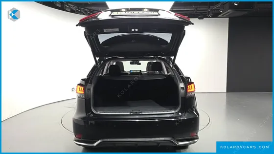 LEXUS RX EXECUTIVE