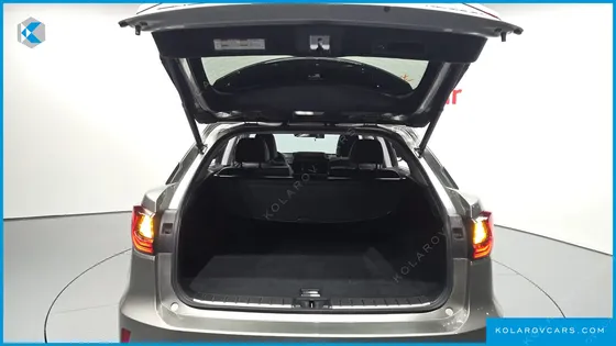 LEXUS RX EXECUTIVE
