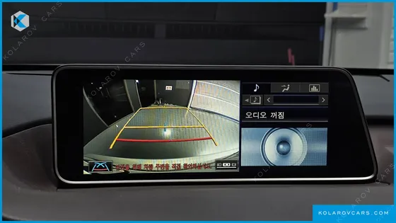 LEXUS RX EXECUTIVE