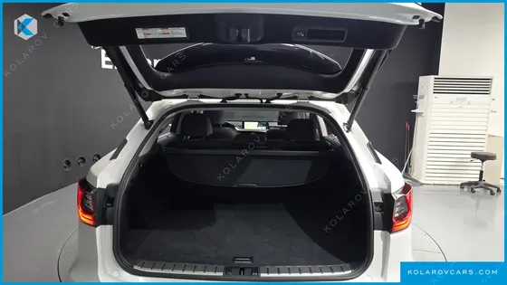 LEXUS RX EXECUTIVE