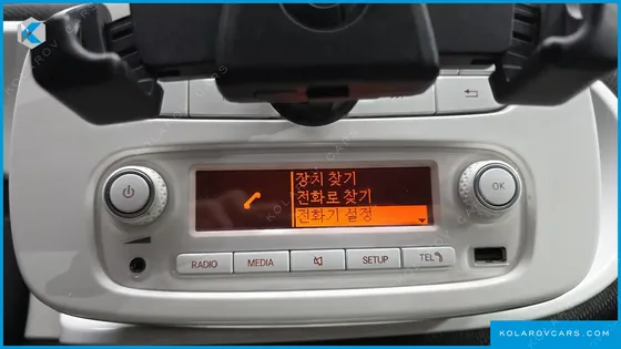 SMART PORTE COUPE