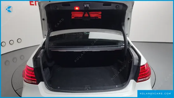 MERCEDES E-CLASS E220 BLUETEC AVANTGARDE SPORT