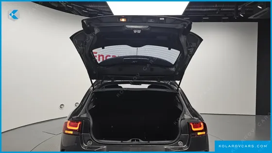 CITROËN C4 CACTUS 1.6 BLUEHDI SHINE