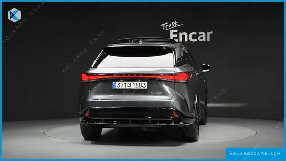 LEXUS RX F-SPORT