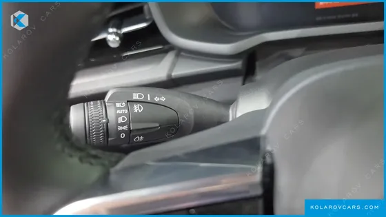 POLESTAR POLESTAR 2 STANDARD SINGLEMOTOR