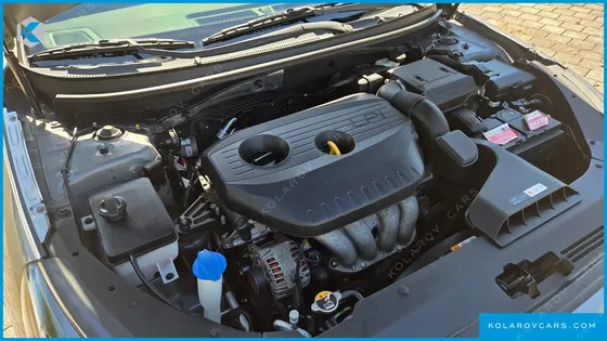 HYUNDAI SONATA LPI SMART(DISABLED PERSON)