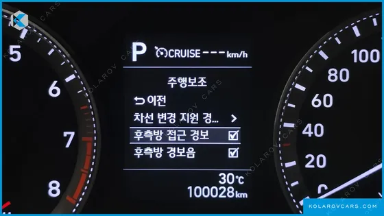 HYUNDAI GRANDEUR 3.0 LPI DSABLED PERSON