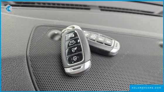 HYUNDAI GRANDEUR 3.0 LPI DSABLED PERSON