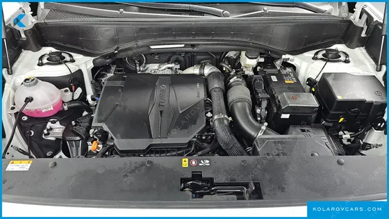 HYUNDAI PALISADE GASOLINE 2.5T 4WD 9-SEATER