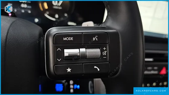 HYUNDAI PALISADE GASOLINE 2.5T 4WD 9-SEATER