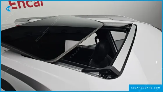 HYUNDAI PALISADE GASOLINE 2.5T 4WD 9-SEATER