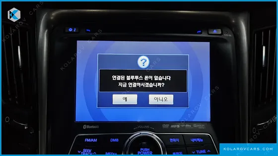HYUNDAI SONATA LPI PREMIER(HANDICAPPED)