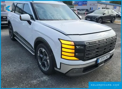 HYUNDAI PALISADE GASOLINE 2.5T 2WD 9-SEATER