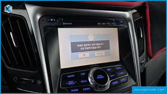 HYUNDAI SONATA LPI PREMIER(HANDICAPPED)