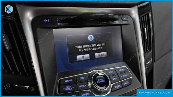 HYUNDAI SONATA LPI PREMIER(HANDICAPPED)