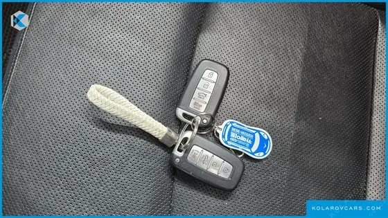 HYUNDAI SONATA LPI PREMIER(HANDICAPPED)