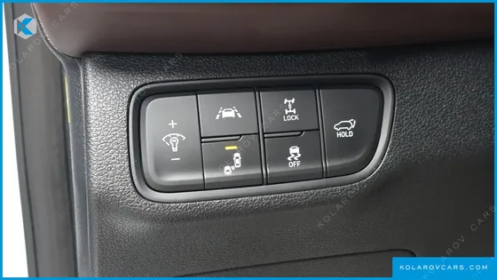 HYUNDAI SANTA FE GASOLINE 2.0T 4WD