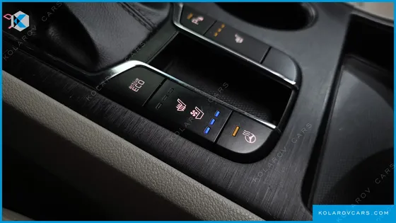 KIA CARNIVAL 9-SEATER LUXURY