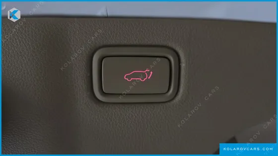 KIA CARNIVAL 9-SEATER NOBLESSE SPECIAL