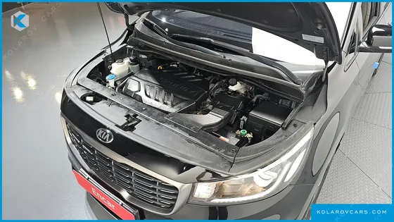 KIA CARNIVAL 9-SEATER LUXURY