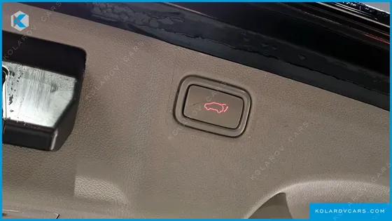 KIA CARNIVAL 9-SEATER NOBLESSE SPECIAL