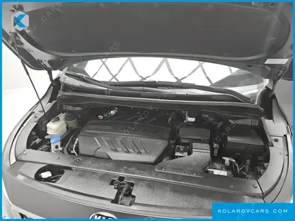 KIA CARNIVAL 7-SEATER LIMOUSINE