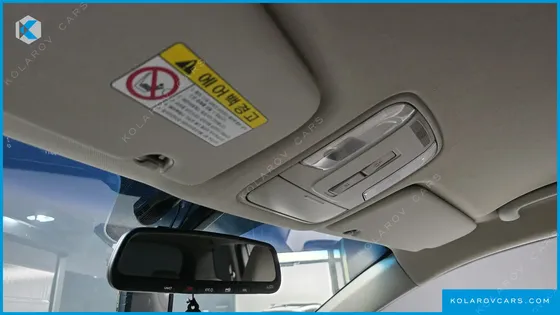 KIA CARNIVAL 9-SEATER LUXURY