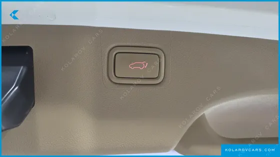 KIA CARNIVAL 9-SEATER NOBLESSE SPECIAL