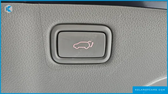 KIA CARNIVAL 9-SEATER NOBLESSE SPECIAL