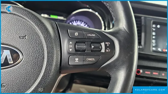KIA CARNIVAL 9-SEATER NOBLESSE SPECIAL