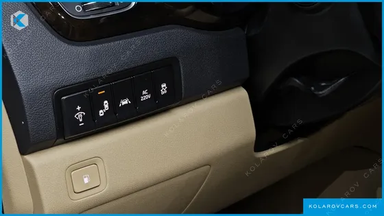 KIA CARNIVAL 9-SEATER NOBLESSE SPECIAL