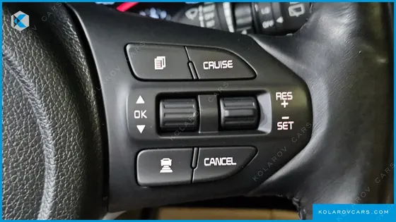 KIA CARNIVAL 9-SEATER NOBLESSE SPECIAL