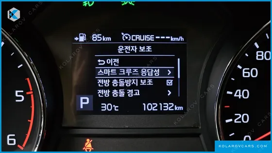KIA CARNIVAL 9-SEATER NOBLESSE SPECIAL