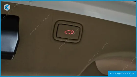 KIA CARNIVAL 9-SEATER NOBLESSE SPECIAL